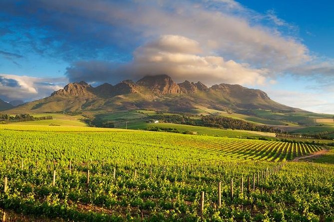 Cape Winelands Tour