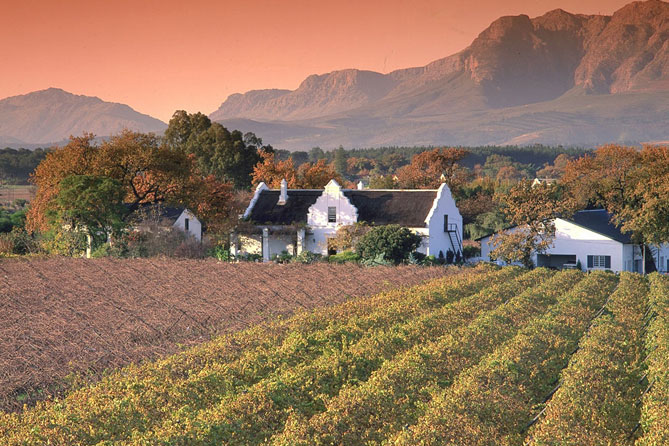 Cape Winelands Tour