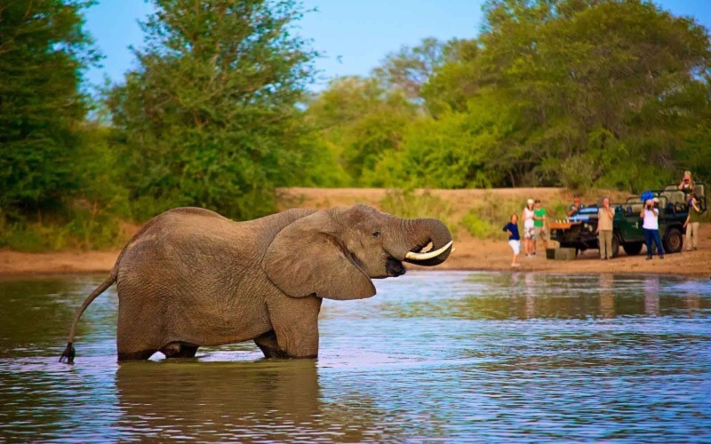 Kruger National Park