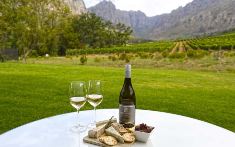Cheese and Wine Pairing in Stellenbosch