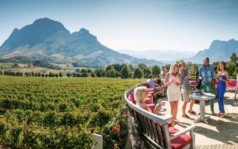 Day Trip To Stellenbosch