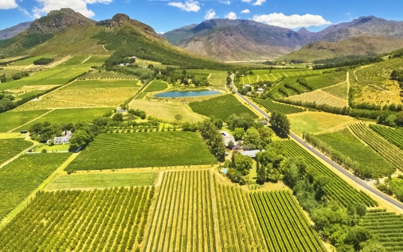 Winelands of Stellenbosch and Franschhoek