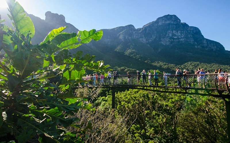 Cape Town City Sightseeing Tours