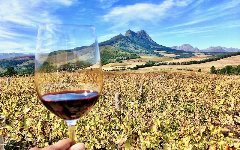 Cape-Winelands-Tour