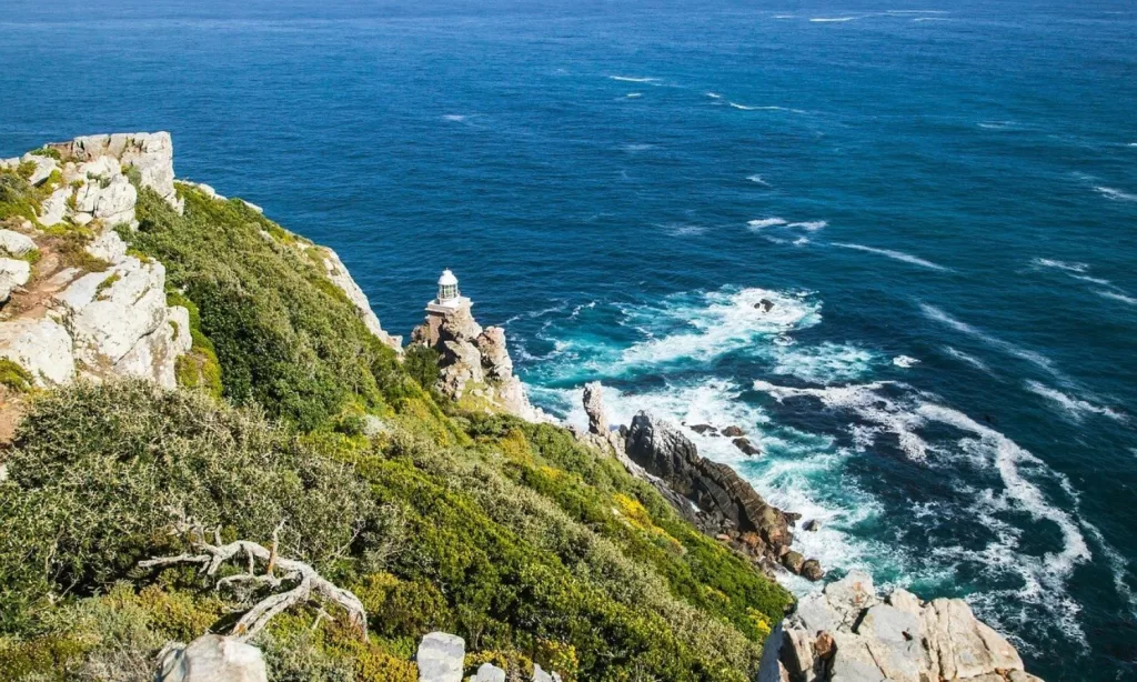 Cape Peninsula Tour – The Most Family-Friendly Cape Town Day Trip