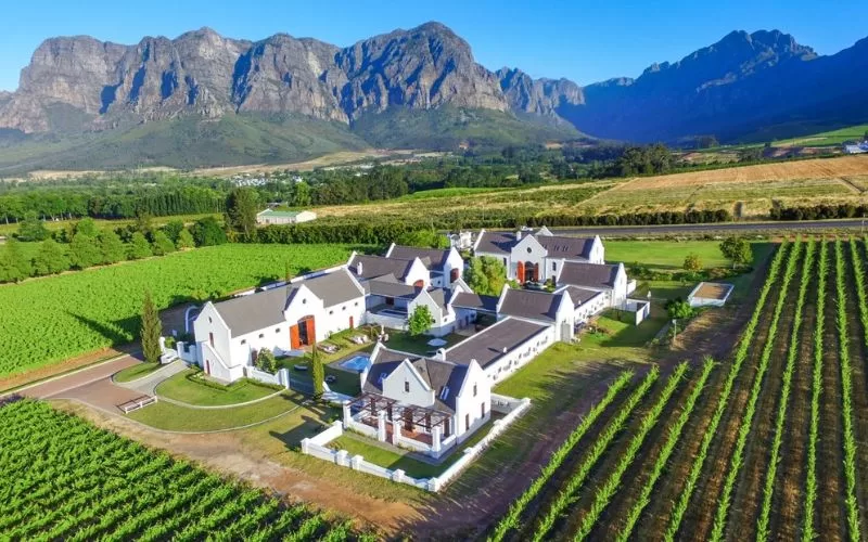 Bringing Stellenbosch Home