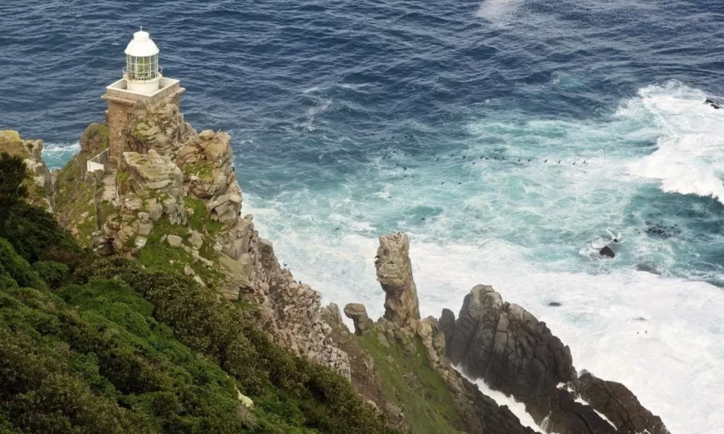 Explore the Cape Peninsula Tour to visit Cape Point and Cape of Good Hope!