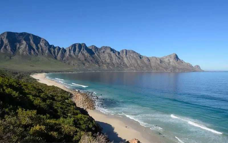 Cape Peninsula Tours