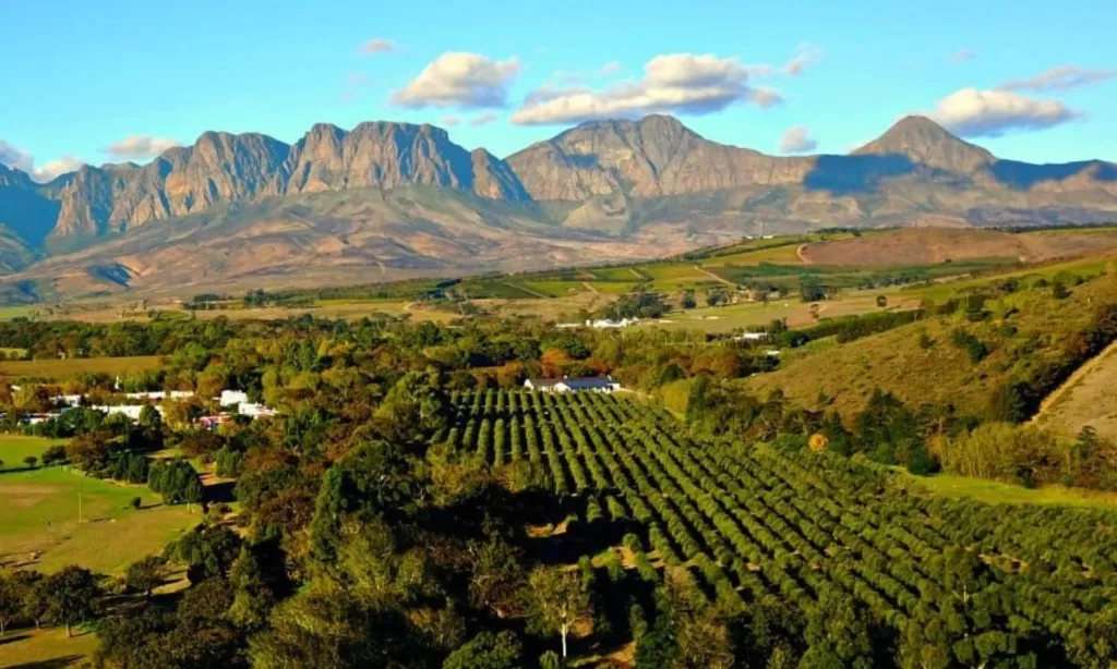 Indulge In A Wine-Tasting Experience In Stellenbosch, Cape Town!