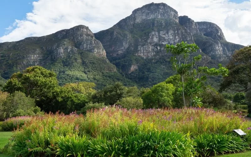 Kirstenbosch Botanical Gardens