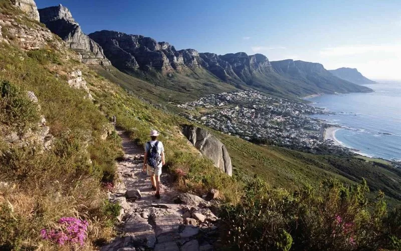 Table Mountain Hiking Routes
