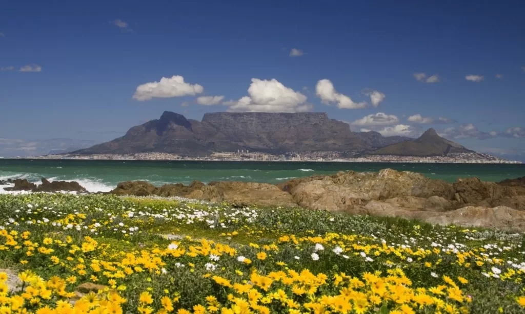 How To Beat the Crowds at Table Mountain National Park?