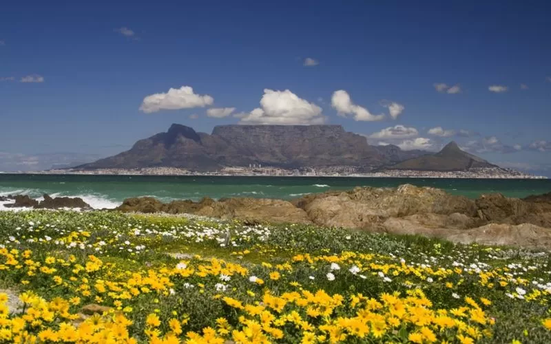 Table Mountain National Park