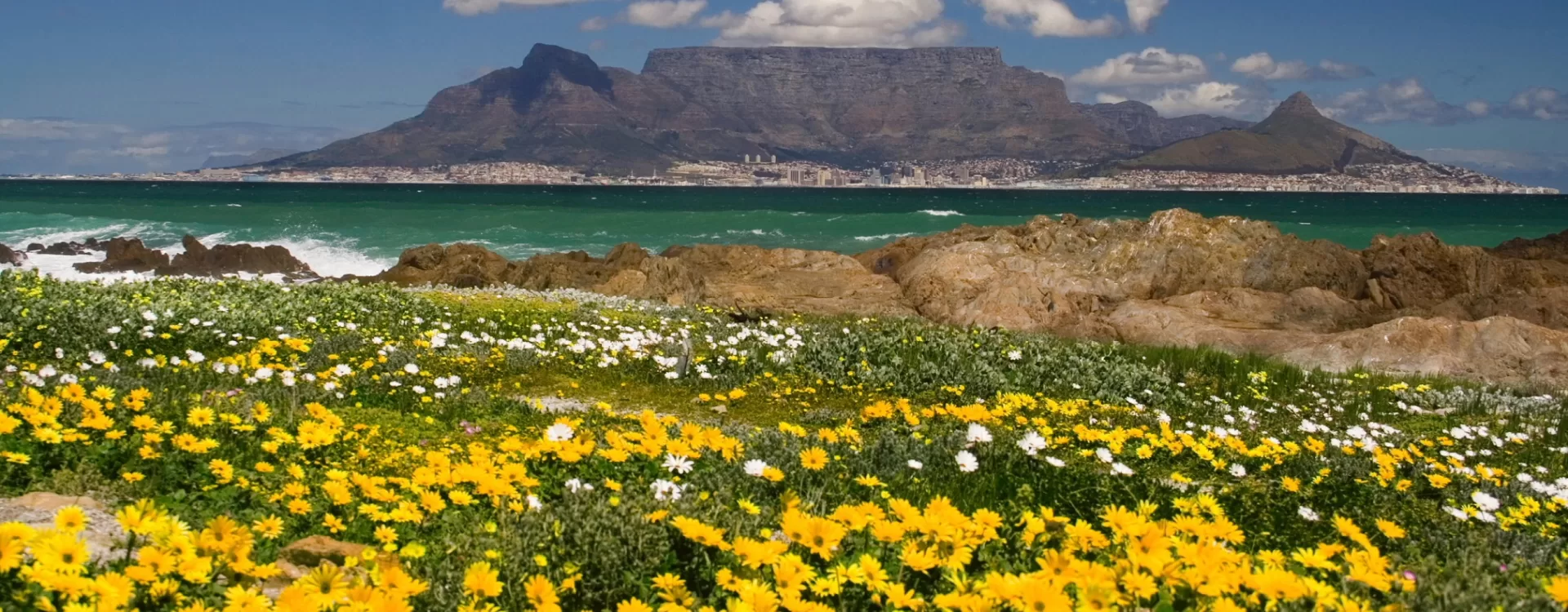 Best Time To Visit Cape Town Tours