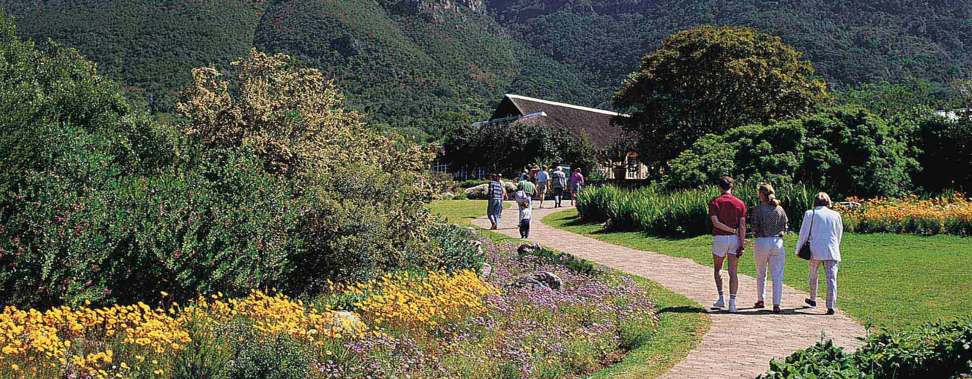 Cape Town Walking Tours