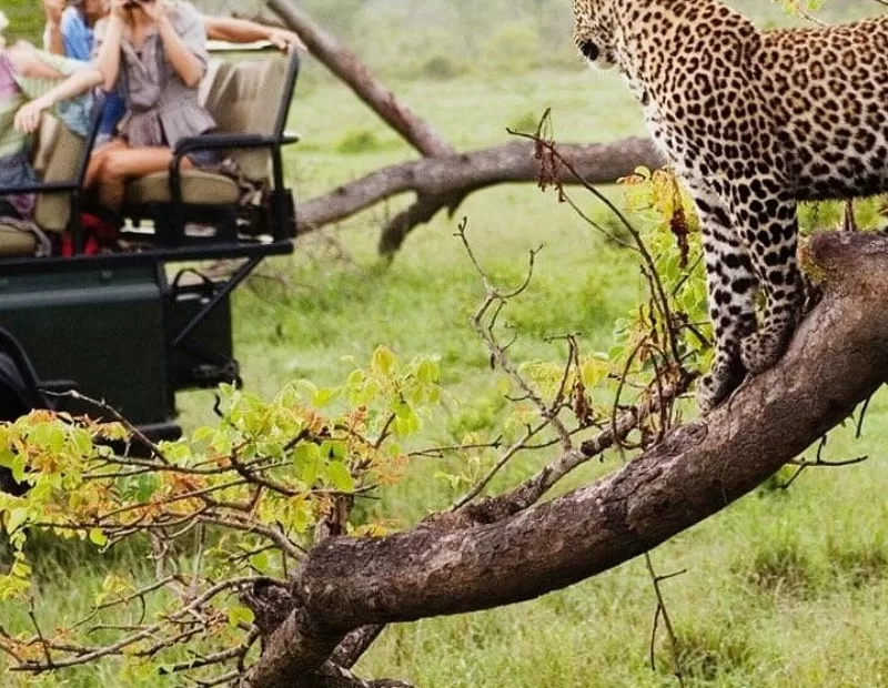 South Africa Tour Operator