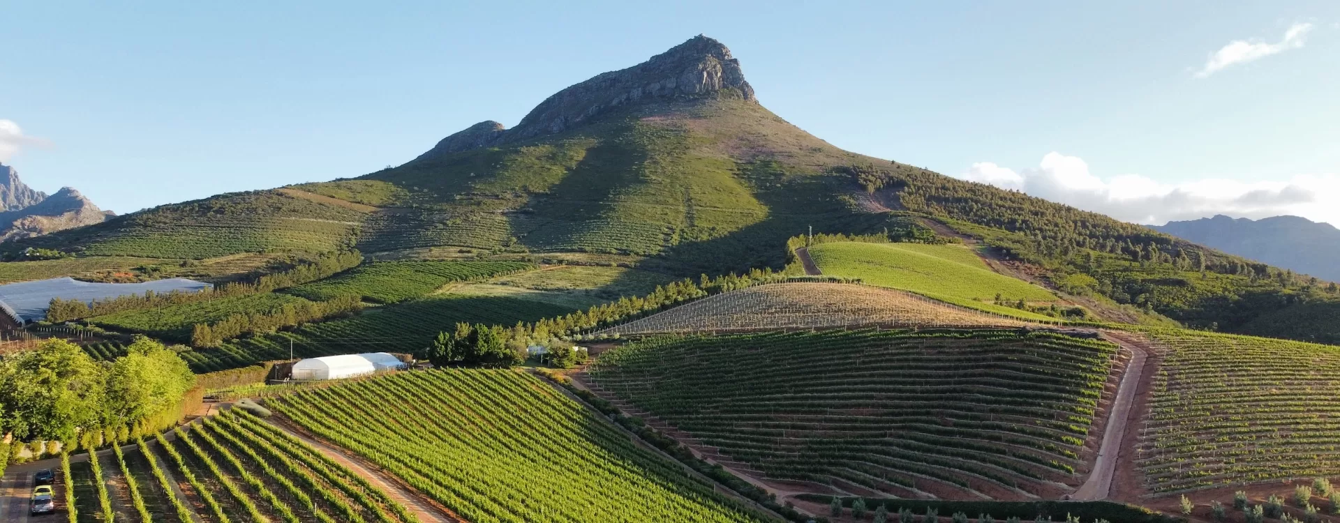 Stellenbosch Day Trips