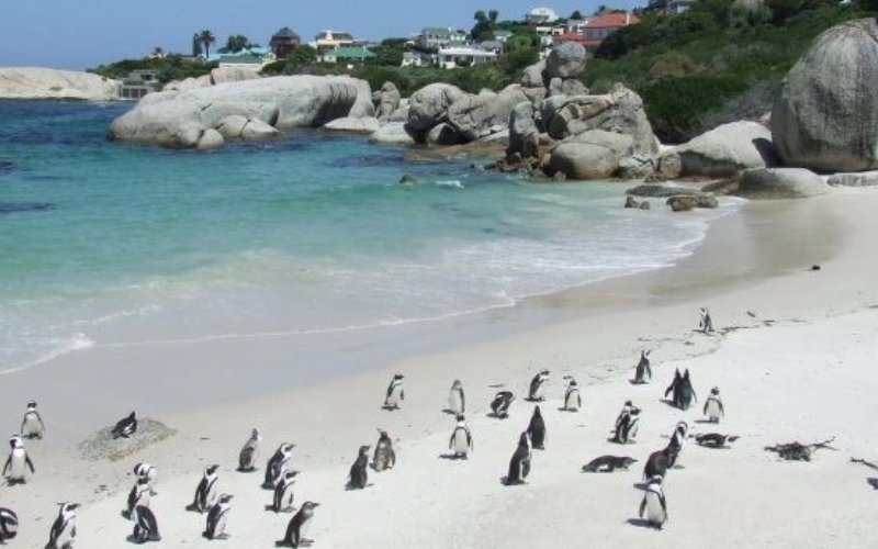 Cape Town’s 6 Most Scenic Routes