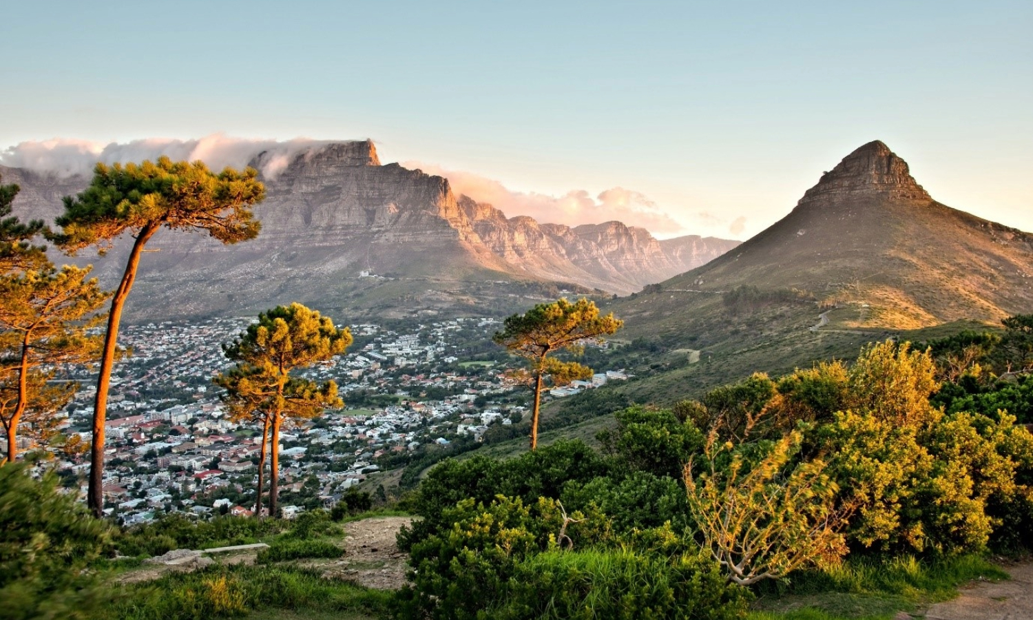 Cape Town Tours