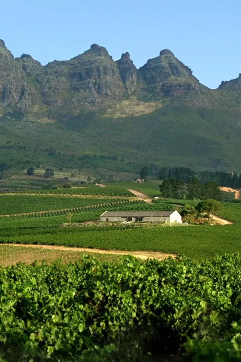 Cape Town Stellenbosch Wine Tours